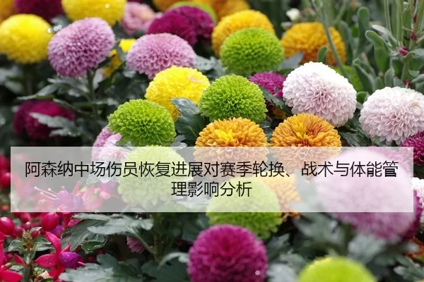 阿森纳中场伤员恢复进展对赛季轮换、战术与体能管理影响分析